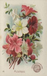 1895 Arm & Hammer Beautiful Flowers (J16 Small) #14 Azaleas Front