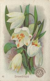 1895 Arm & Hammer Beautiful Flowers (J16 Small) #41 Snowdrops Front
