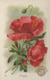 1895 Arm & Hammer Beautiful Flowers (J16 Small) #50 Poppy Front