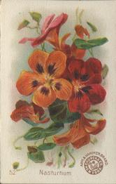 1895 Arm & Hammer Beautiful Flowers (J16 Small) #52 Nasturtium Front