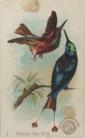1898 Church & Co. Beautiful Birds (J2 Narrow) #9 Mexican Star King Front