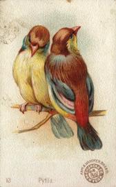 1898 Church & Co. Beautiful Birds (J2 Narrow) #13 Pytila Front