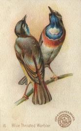 1898 Church & Co. Beautiful Birds (J2 Narrow) #15 Blue Throated Warbler Front