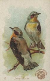 1898 Church & Co. Beautiful Birds (J2 Narrow) #19 Stone-chatter Front