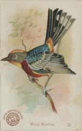 1898 Church & Co. Beautiful Birds (J2 Narrow) #23 Wood Warbler Front