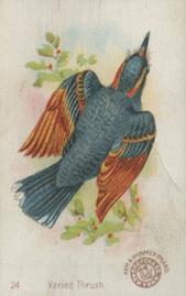 1898 Church & Co. Beautiful Birds (J2 Narrow) #24 Varied Thrush Front