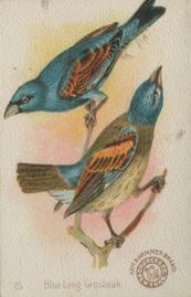 1898 Church & Co. Beautiful Birds (J2 Narrow) #25 Blue Long Grosbeak Front