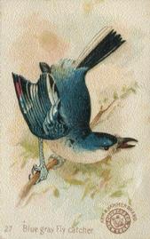 1898 Church & Co. Beautiful Birds (J2 Narrow) #27 Blue Gray Fly Catcher Front