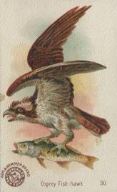 1898 Church & Co. Beautiful Birds (J2 Narrow) #30 Osprey Fish-hawk Front