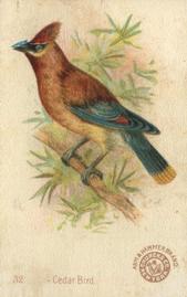 1898 Church & Co. Beautiful Birds (J2 Narrow) #32 Cedar Bird Front
