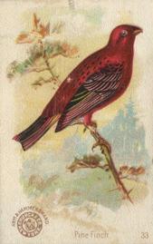 1898 Church & Co. Beautiful Birds (J2 Narrow) #33 Pine Finch Front