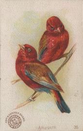 1898 Church & Co. Beautiful Birds (J2 Narrow) #35 Amaranth Front