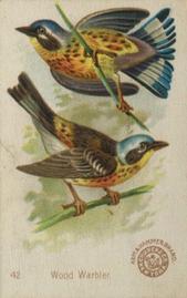 1898 Church & Co. Beautiful Birds (J2 Narrow) #42 Wood Warbler Front