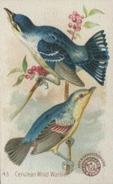 1898 Church & Co. Beautiful Birds (J2 Narrow) #43 Cerulean Wood Warbler Front
