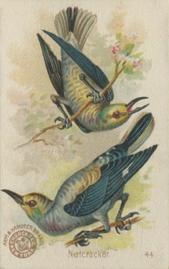 1898 Church & Co. Beautiful Birds (J2 Narrow) #44 Nutcracker Front