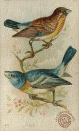 1898 Church & Co. Beautiful Birds (J2 Narrow) #45 Finch Front