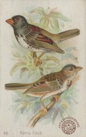 1898 Church & Co. Beautiful Birds (J2 Narrow) #48 Harris Finch Front