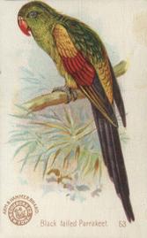 1898 Church & Co. Beautiful Birds (J2 Narrow) #53 Black-tailed Parrakeet Front