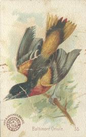 1898 Church & Co. Beautiful Birds (J2 Narrow) #55 Baltimore Oriole Front
