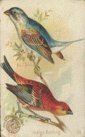 1898 Church & Co. Beautiful Birds (J2 Narrow) #58 Indigo Bunting Front