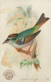 1898 Church & Co. Beautiful Birds (J2 Narrow) #59 Cuvier's Kinglet Front