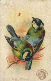 1898 Church & Co. Beautiful Birds (J2 Narrow) #60 Blue Titmouse Front