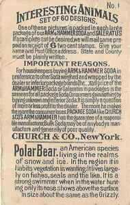 1898 Dwight's Soda Interesting Animals (J10) - Arm & Hammer Interesting Animals #1 Polar Bear Back