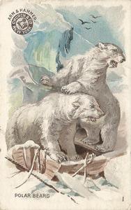 1898 Dwight's Soda Interesting Animals (J10) - Arm & Hammer Interesting Animals #1 Polar Bear Front