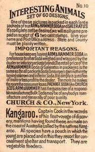 1898 Dwight's Soda Interesting Animals (J10) - Arm & Hammer Interesting Animals #10 Kangaroo Back