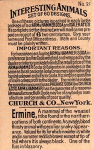 1898 Dwight's Soda Interesting Animals (J10) - Arm & Hammer Interesting Animals #21 Ermine Back