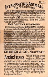 1898 Dwight's Soda Interesting Animals (J10) - Arm & Hammer Interesting Animals #22 Arctic Foxes Back