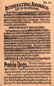 1898 Dwight's Soda Interesting Animals (J10) - Arm & Hammer Interesting Animals #24 Prairie Dogs Back