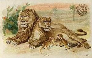 1898 Dwight's Soda Interesting Animals (J10) - Arm & Hammer Interesting Animals #26 Lion Front