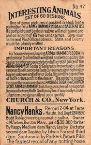 1898 Dwight's Soda Interesting Animals (J10) - Arm & Hammer Interesting Animals #47 Nancy Hanks Back