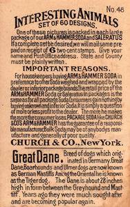 1898 Dwight's Soda Interesting Animals (J10) - Arm & Hammer Interesting Animals #48 Great Dane Back