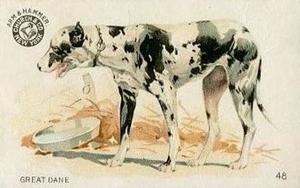 1898 Dwight's Soda Interesting Animals (J10) - Arm & Hammer Interesting Animals #48 Great Dane Front