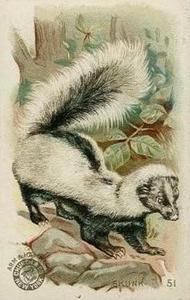 1898 Dwight's Soda Interesting Animals (J10) - Arm & Hammer Interesting Animals #51 Skunk Front