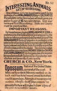1898 Dwight's Soda Interesting Animals (J10) - Arm & Hammer Interesting Animals #52 Opossum Back