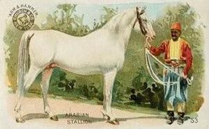 1898 Dwight's Soda Interesting Animals (J10) - Arm & Hammer Interesting Animals #53 Arabian Stallion Front