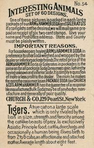 1898 Dwight's Soda Interesting Animals (J10) - Arm & Hammer Interesting Animals #54 Tigers Back