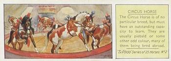 1934 Ty-phoo Tea Horses #2 Circus Horse Front