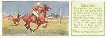 1934 Ty-phoo Tea Horses #7 Polo Pony Front