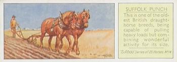 1934 Ty-phoo Tea Horses #14 Suffolk Punch Front