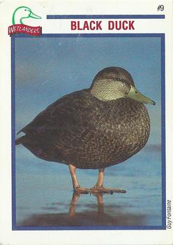 1994 Ducks Unlimited Wetlanders #9 Black Duck Front