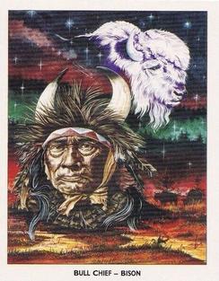 1994 Victoria Gallery A Gathering of Spirits #2 Bull Chief - Bison Front