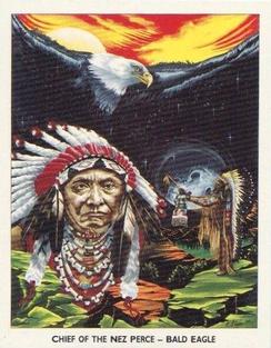 1994 Victoria Gallery A Gathering of Spirits #3 Chief of the Nez Perce - Bald Eagle Front