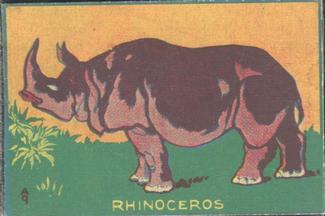 1940 Toy Animals (R159-1) #NNO Rhinoceros Front