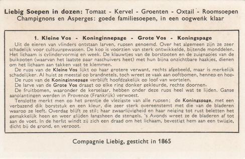 1956 Liebig De Rupsen (Caterpillars) (Dutch Text) (F1637, S1639) #1 Kleine Vos - Koninginnepage - Grote Vos - Koningspage Back