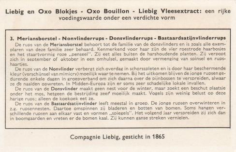 1956 Liebig De Rupsen (Caterpillars) (Dutch Text) (F1637, S1639) #3 Meriansborstel - Nonvlinderrups - Donsvlinderrups - Bastaardsatijnvlinderrups Back