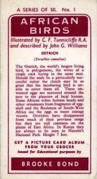 1965 Brooke Bond Rhodesia African Birds #1 Ostrich Back
